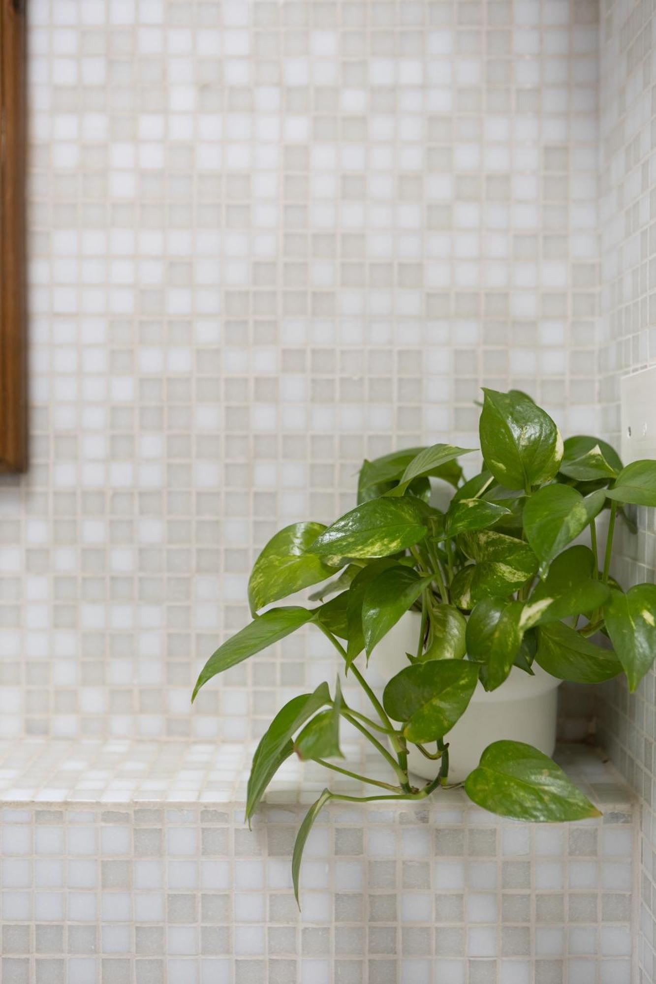 Appartamento D'ardiglione27 Flat *
